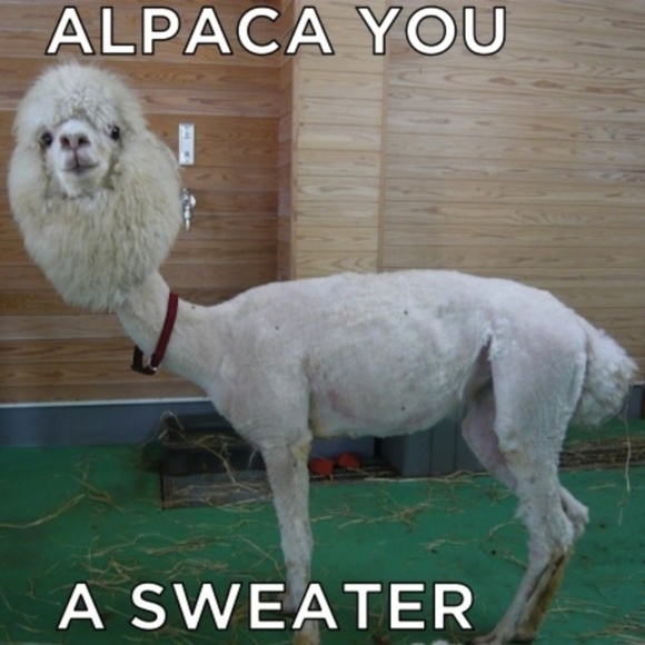 Thanks everyone xo - Picture 3 of 8